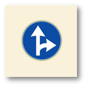 direksiyon dersi, trafik bilgi işaretleri