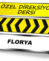 Florya özel direksiyon dersi TSBM