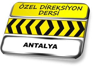 ozel direksiyon dersi Antalya